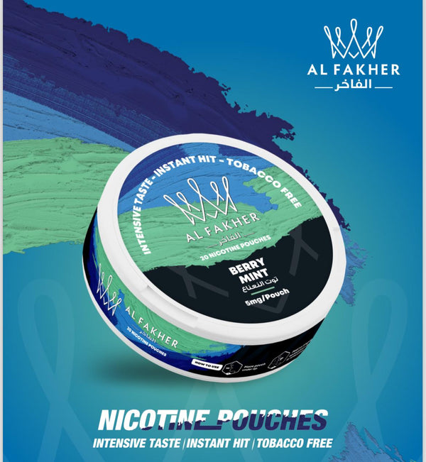 Al Fakher Nicotine Pouches 5mg in Dubai